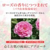 All-in-One Gel 100g Moisturizing Rich Gel (All-in-One Rose Toner Beauty
