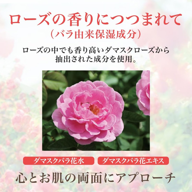 All-in-One Gel 100g Moisturizing Rich Gel (All-in-One Rose Toner Beauty