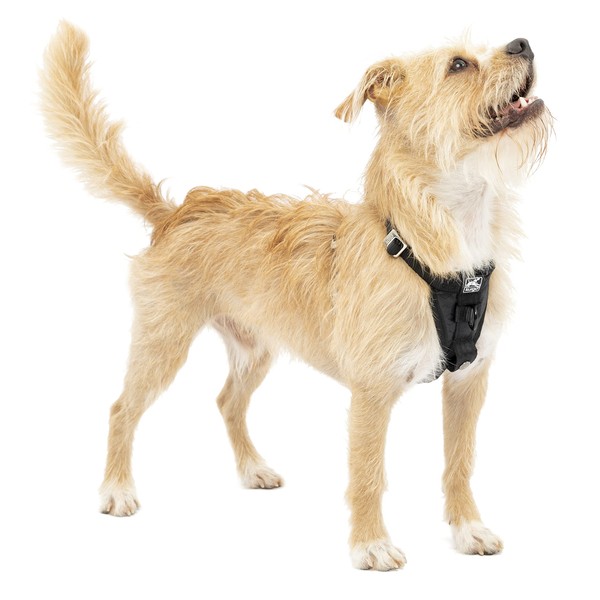 Kurgo Tru-Fit Enhanced Strength Dog Harness - Crash Tested Car Safety Harness for Dogs