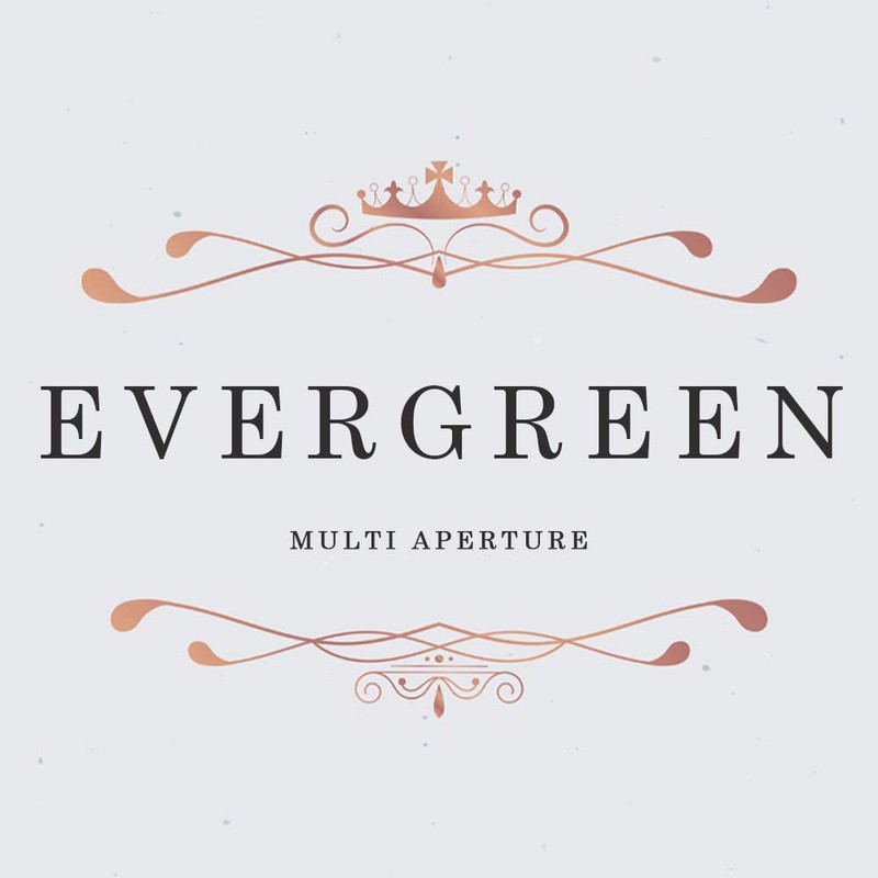 Evergreen Frame, Silver Plated, 2.5x3.5 [6x9cm]