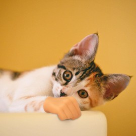 6 Pcs Cute Mini Hands for Cats,Tiny Human Hands for Cats,Rubber Mini Tiny Finger for Cats