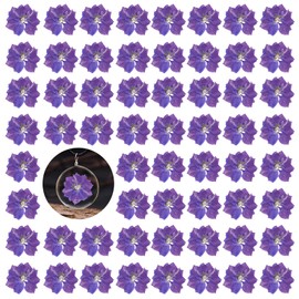 Purple Pressed Dried Larkspur Flowers, 60PCS Natural Real Dried Pressed Delphinium Flowers, Dry Flowers for Resin Art DIY Craft Ornament Candle Making