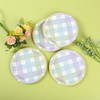 AllReal 24Pcs Spring Easter Dessert Plates Pastel Gingham Disposable Paper