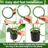 Kopinma Set of 4 Automatic Watering Plants Water Rings, Drip