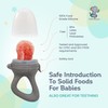 LittleWhispers Baby Fruit Food Feeder Pacifier - Infant Feeding Teether