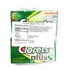 Clorets Plus Sugarless Gum 12pk–Mint Flavor (12 pieces of gum