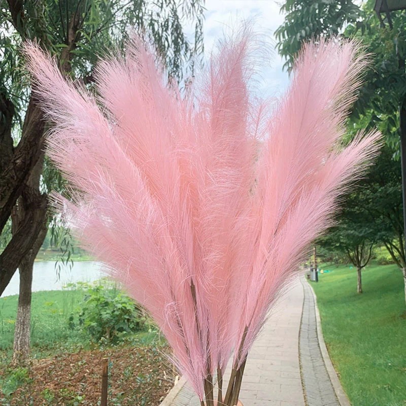 TENDER LIHOME 5 Pampas Secas Plantas Flores Artificiales Ramas Decorativas