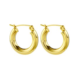 KASFREE Titanium Huggie Hoop Earrings for Women Gold Chunky Hoop Earrings for Women Thick Silver Hoops Huggie Hoops Earrings for Women, Titanium, No Gemstone
