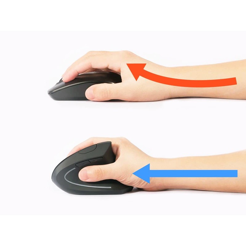 Equip 245110 Ergonomische Schnurlosmaus/Wireless/Links und Rechtshänder/schwarz