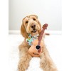 PUPROAR Guitar Dog Toy, Funny Dog Toy, Unique Dog Gift,