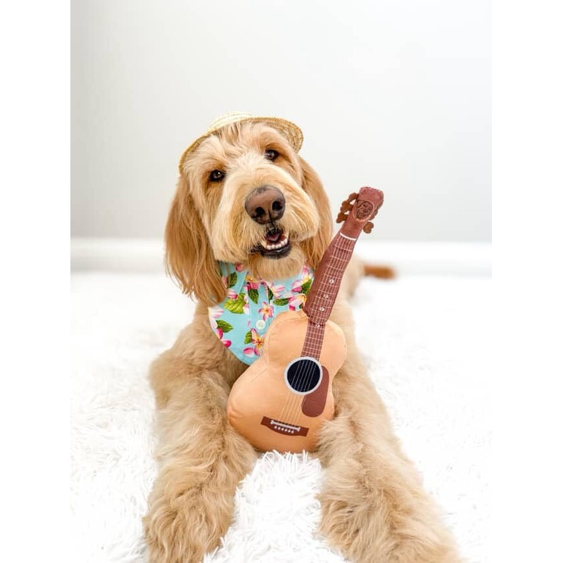 PUPROAR Guitar Dog Toy, Funny Dog Toy, Unique Dog Gift,