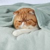 Bedsure Fleece Throw Blanket for Bed - Soft Cosy Fluffy