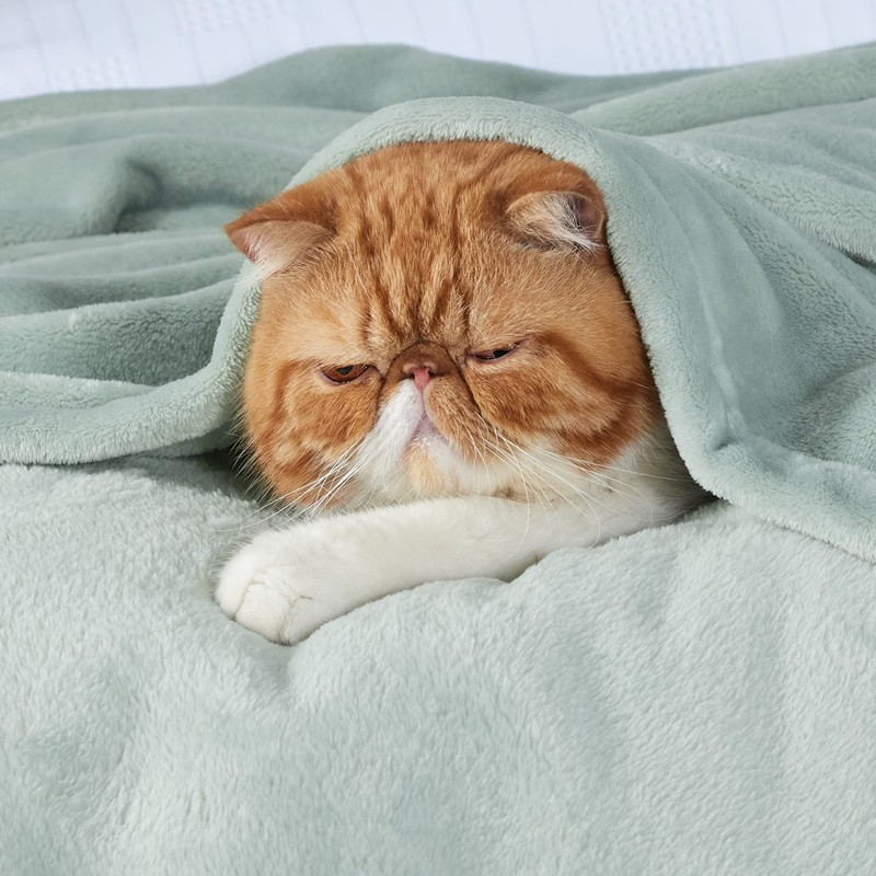 Bedsure Fleece Throw Blanket for Bed - Soft Cosy Fluffy