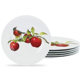 Reston Lloyd Harvest Apple by Sandy Clough, 6pc Melamine Salad Plate Set, white, red, green (72999set)