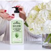 J.R. Watkins Daily Moisturizing Body Lotion, Aloe & Green Tea,