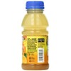 Langers Juice Cocktail, Pineapple Orange Guava, 10 Fl Oz (Pack