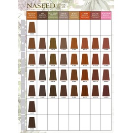 Napura Naseed Color N-6LBB Leaf Beige Brown 2.8 oz (80 g)