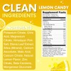 My Adventure to Fit Zero Sugar - Lemon Candy Electrolytes