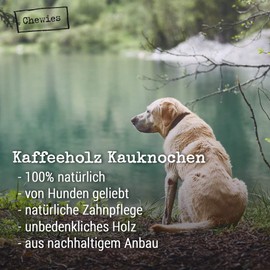 Chewies Chew Sticks for Dogs, Coffee Wood Chew Bone, Splinter-Resistant and Durable, Natural Chew Toy, Available in Sizes XXS, XS, S, M, L