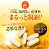Yakuin Organic Coenzyme Q10, 30 Capsules, 30 Day Supply
