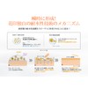 Sunscreen Face Makeup Foundation 2 in 1 Flower Print Tone