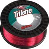 Berkley Trilene Big Game Monofilament Fishing Line, 17LB | 7.7kg,