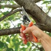 A.M. Leonard Bypass Pruners with Titanium-Coated Blades