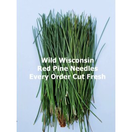 Wisconsin Wild Grown Red Pine Tea Needles Organic Infusion Fresh Picked Wild Wisconsin Grown - 1 Ounce