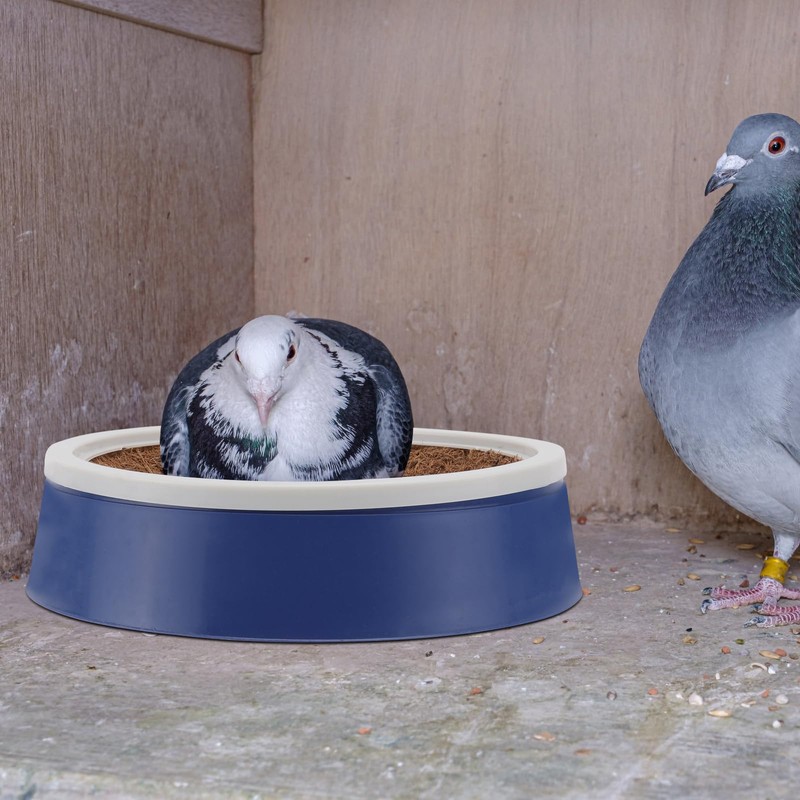 DOITOOL 2 Set Pigeon Egg Nest Pigeon Bird Egg Coconut