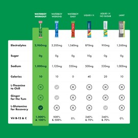 Waterboy Workout Hydration | 2,960mg Sugar Free Electrolyte Powder Packets | L-Glutamine + Vitamins | No Sugar, All Natural, Gluten Free | 15 Drink Stick Mixes (Fruit Punch)
