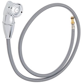 Moen 136106 Hose & Spray, Small, Chrome