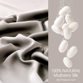 WLOSJ 100% Silk Pillow Cases 2 Pack Queen Size Mulberry Silk Pillowcase for Hair and Skin Highest Grade 6A Silk Soft Breathable Cooling with Hidden Zipper Set of 2, Grey