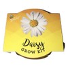 Buzzy Daisy Grow Kit