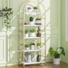 Shintenchi Bookshelf, Arched Bookshelf 5 Tier Bookcase, Tall Bookcase Shelf