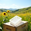 Pxiryanlow White Queen Marker Cage Clip Bee Plastic Catcher Beekeeper