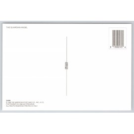 The Guardian Angel Sunset Silhouette Through Trees Cemetery Statue 6x4 Postcard