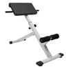 Roman Chair Hyperextension Bench White Back Extension Bench Multipurpose Adjustable