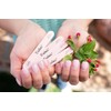 Iridesi Mini Nail Files Pink 3.5 Inches Long by 1/2