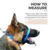Canny Collar No Pull Dog Head Collar, Lead Training Head