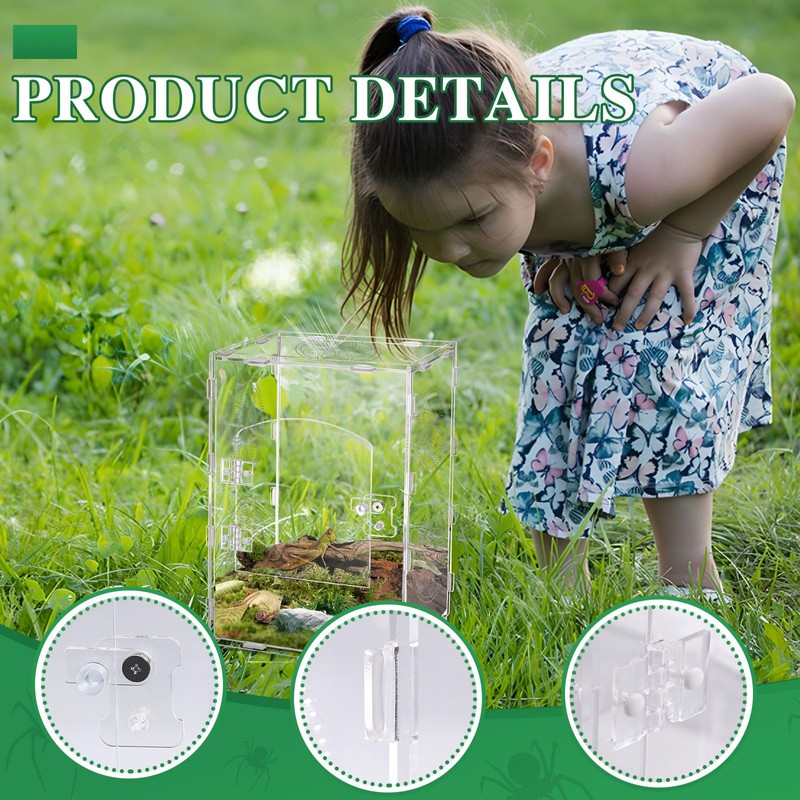 30 x 20 x 15 cm Jumping Spider Run Accessories