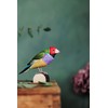 WILDLIFEGARDEN Wildlife Garden WG4814 DecoBird Gouldamadine - Hand Carved Decorative