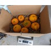 Generic Fresh Seedless Tango Tangerines 5 lbs box (16 to