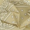 Laciteinterdite Set of 3 Paisley Bandanas for Men and Women,