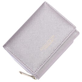 HAIWILL Mini Purse Women's Leather Small Purse Women's Large Capacity Purse Women's Small Purse Women's Purses Many Compartments Large, x purple2