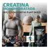 Creatina Monohidratada Micronizada Pura En Polvo 450gr Sabor Sin sabor