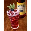 FixtureDisplays Monin Sugar Free Blackberry Flavoring Syrup 1 Liter 544SYPFS006F