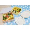sanko- Plastic Lunch Boxes Family Size Rio Pack L Shape
