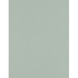 LUXPaper 8.5â x 11â Cardstock for Crafts and Cards in 100 lb. Slate, Scrapbook Supplies, 50 Pack (Green)