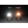 Xenon HID Hyper H4 Headlight Blue/White Bulbs Lights for Yamaha