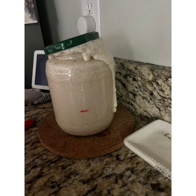 Dehydrated Sourdough Starter - Air Dried, For making bread, Natural